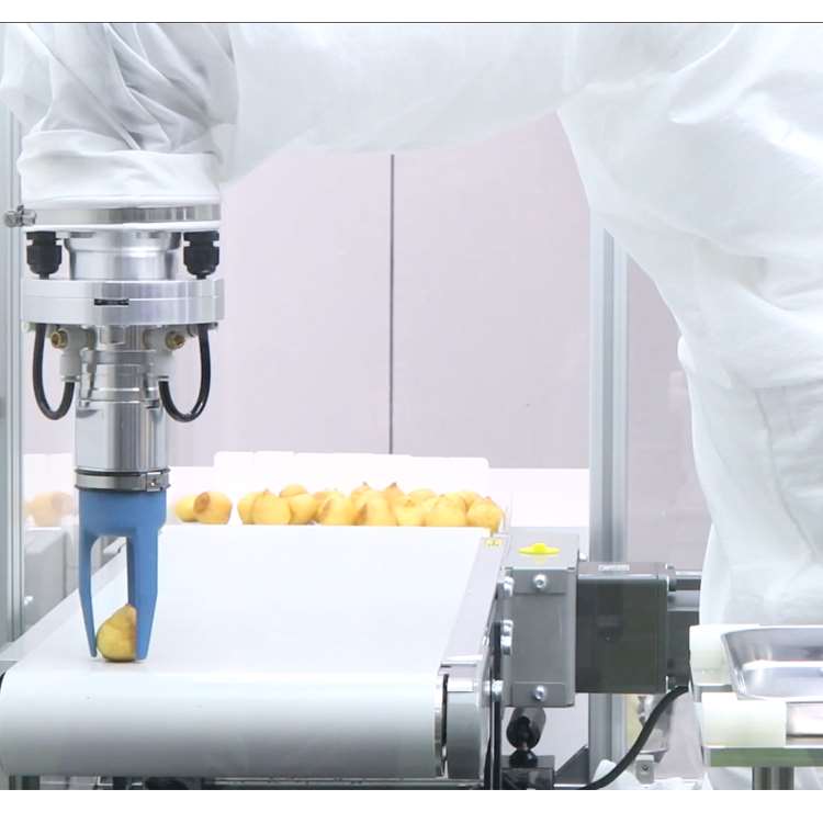 6-Axis CNC Robotic Arm with Li - Robot Gripper review and price